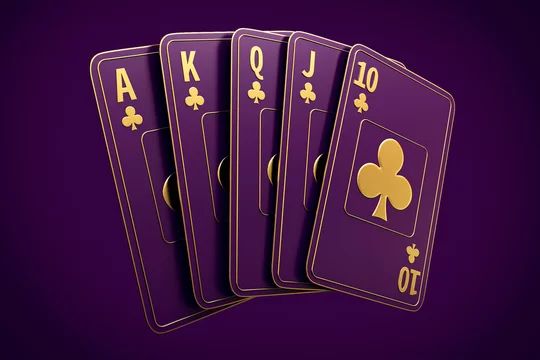 Spin 786 آن لائن کیسینو میں کھیلنے کی وجوہات